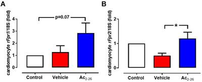 Cardioprotective Actions of the Annexin-A1 N-Terminal Peptide, Ac2-26, Against Myocardial Infarction